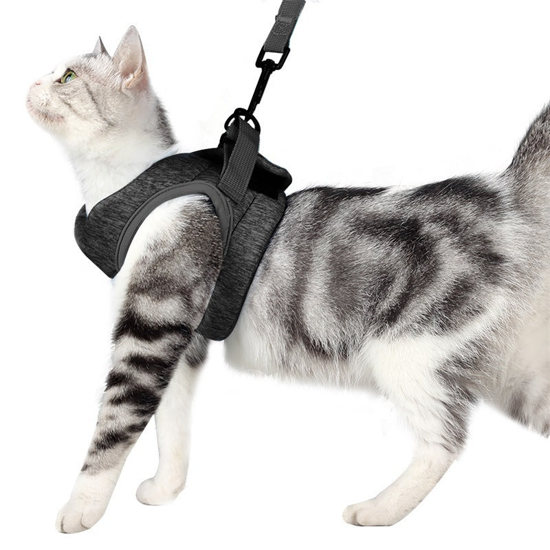 Chest Harness Cat Leash Vest – Your Daily Essential