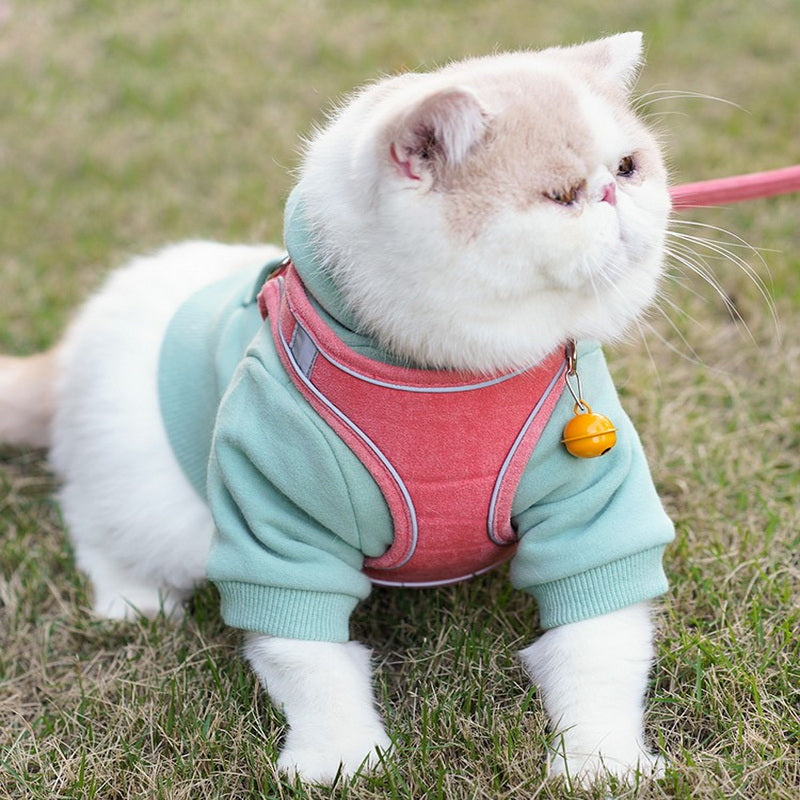 Cat Leash Vest Type Chest Harness – The Smart Choice for Your Home