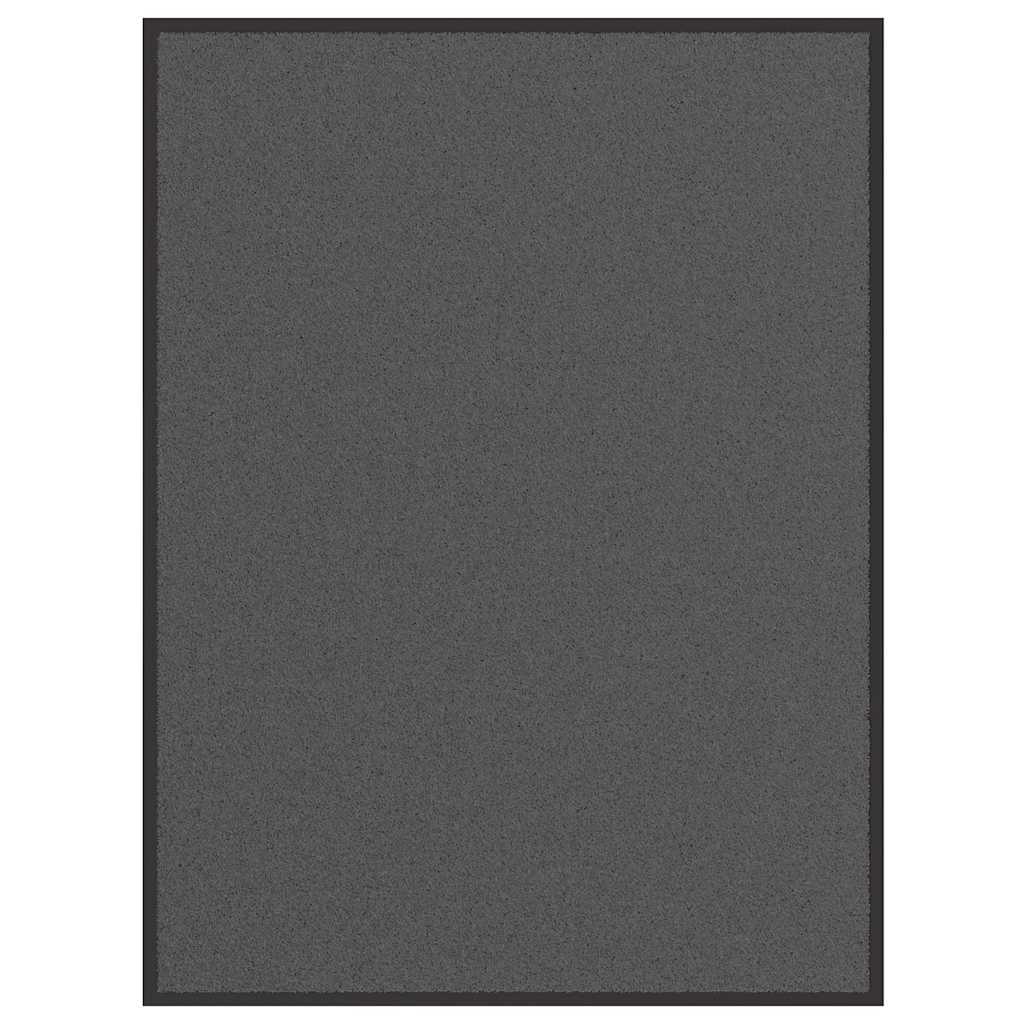 Doormat Anthracite – Your Daily Essential