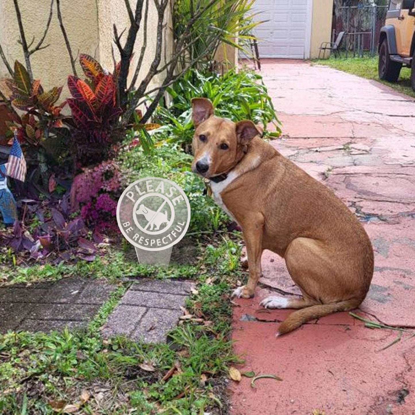 Dog Poop Sign With Bag Holder – Your Daily Essential