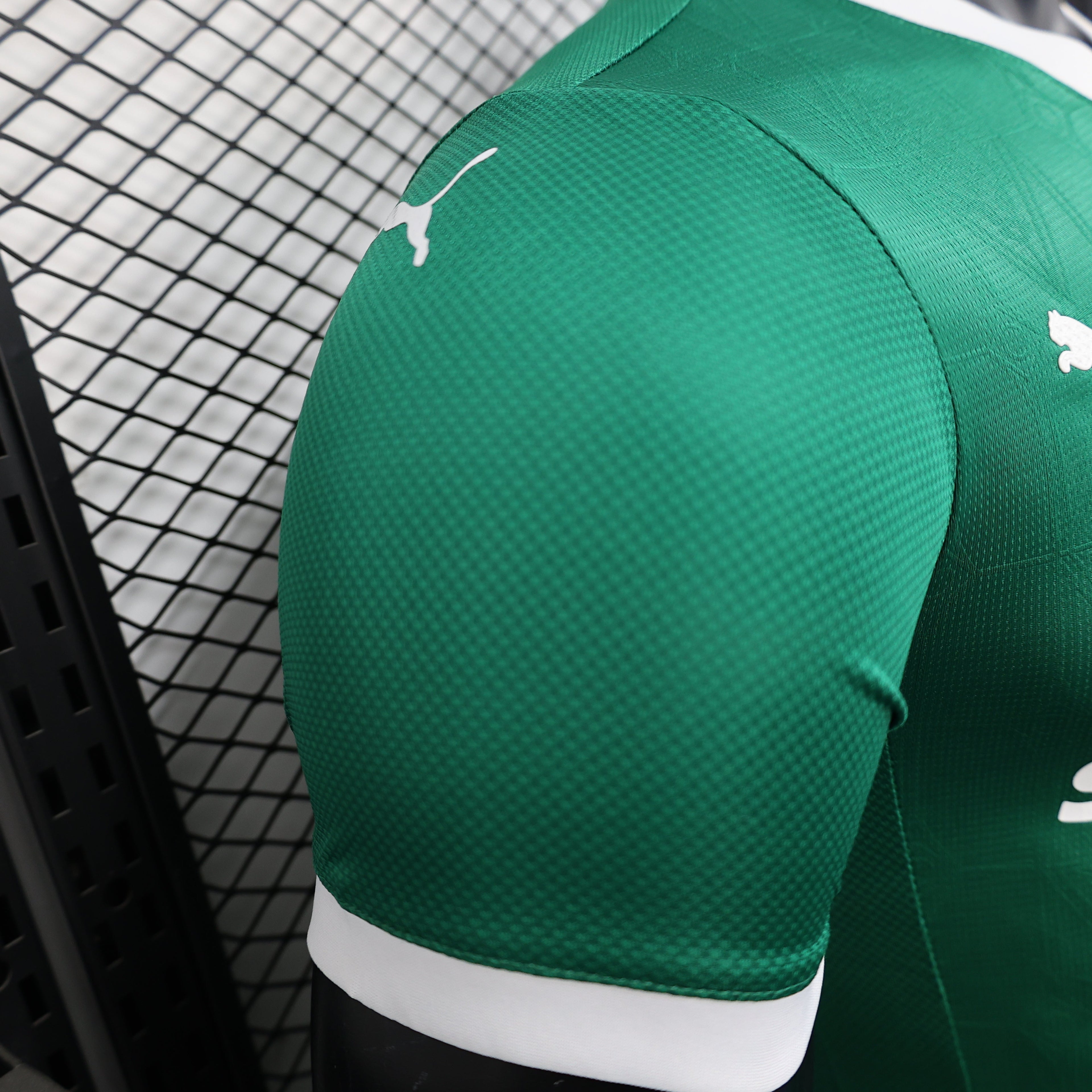 2025-26 Palmeiras Home Player Edition Jersey - Men