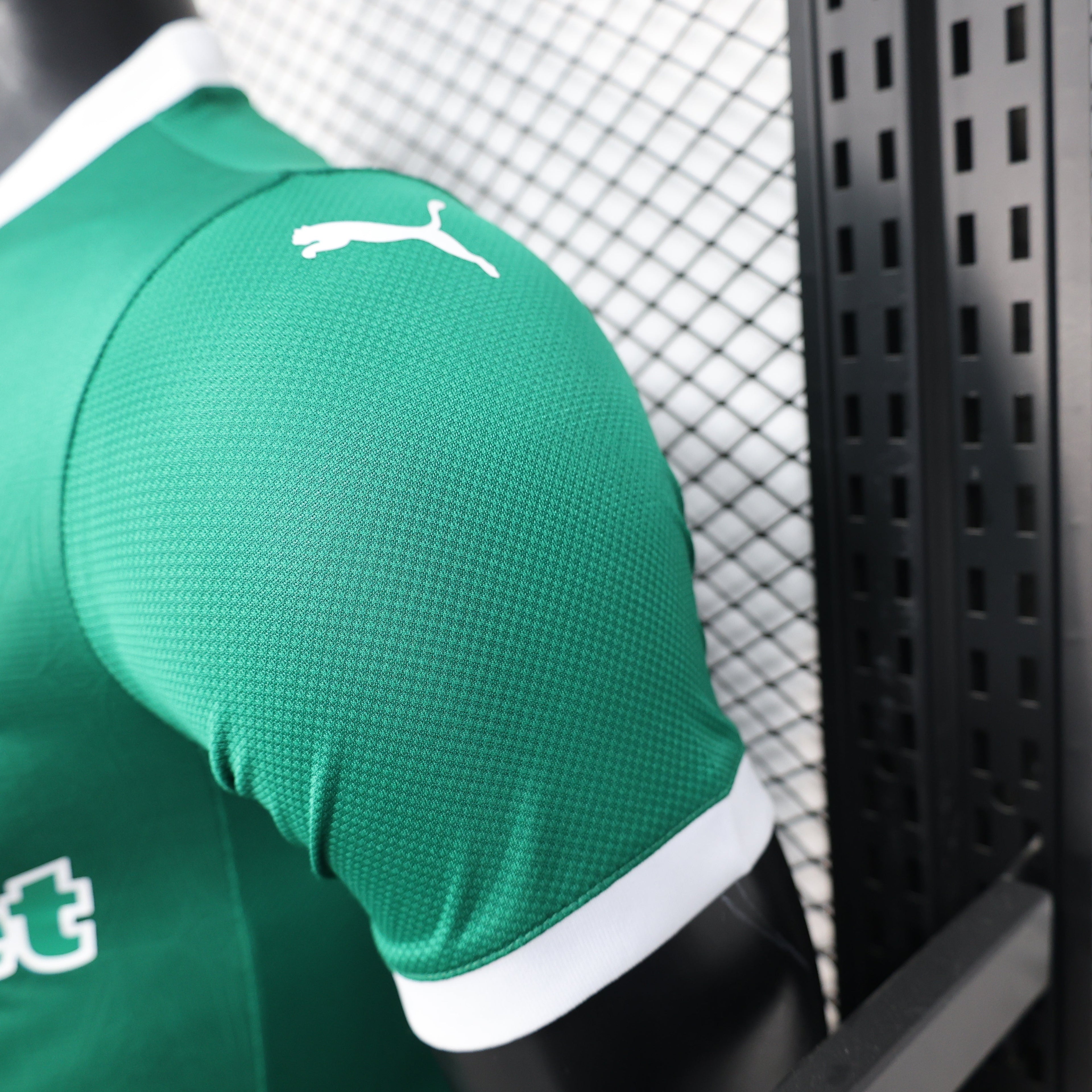 2025-26 Palmeiras Home Player Edition Jersey - Men