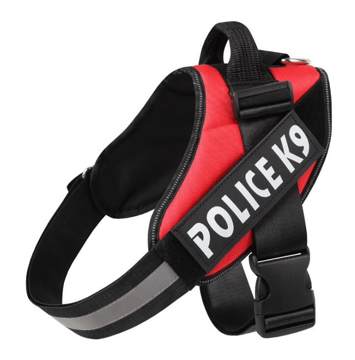 Dog leash – The Smart Choice for Your Home