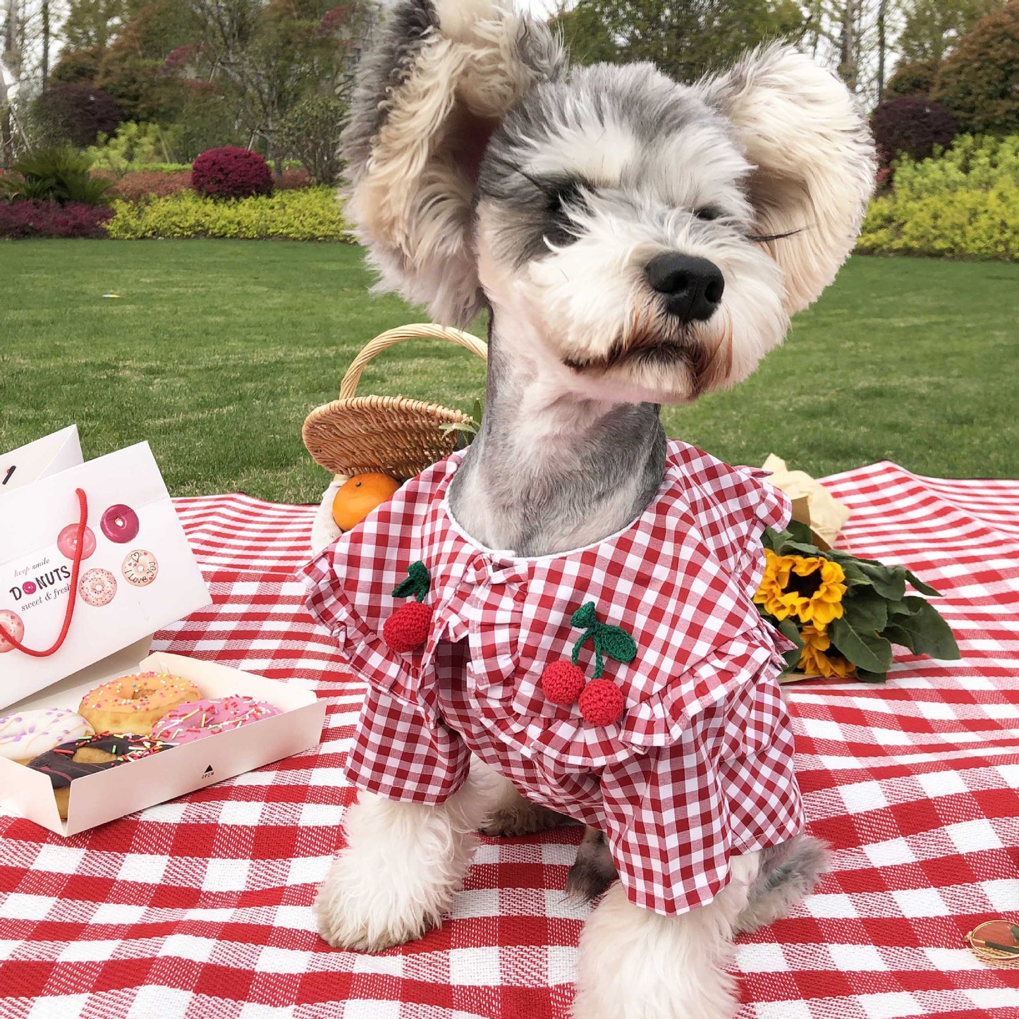 Dog Clothes Small Dog Checkered Shirt Summer  – Quality You Can Trust