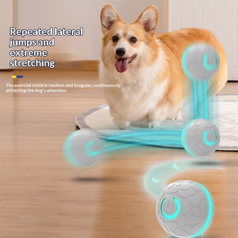 Smart Bouncing Ball Electric Charging Cat And – The Smart Choice for Your Home