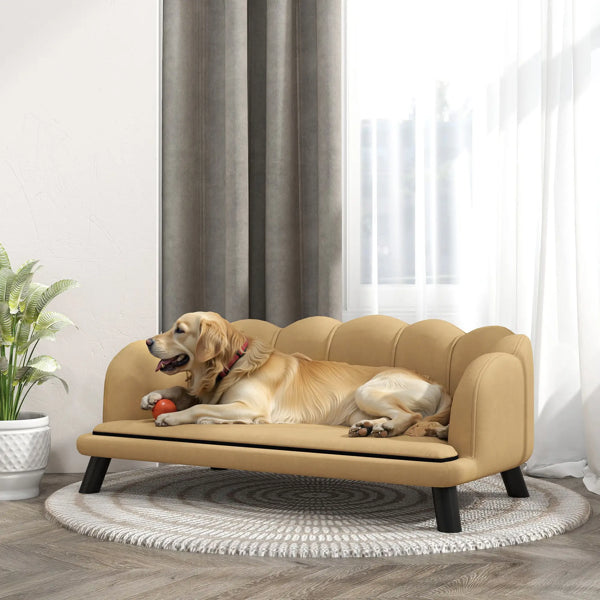 Pet Sofa – Your Daily Essential