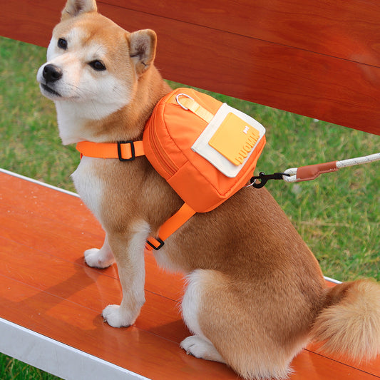 Fashion Outdoor Travel Pet School Bag – Your Daily Essential