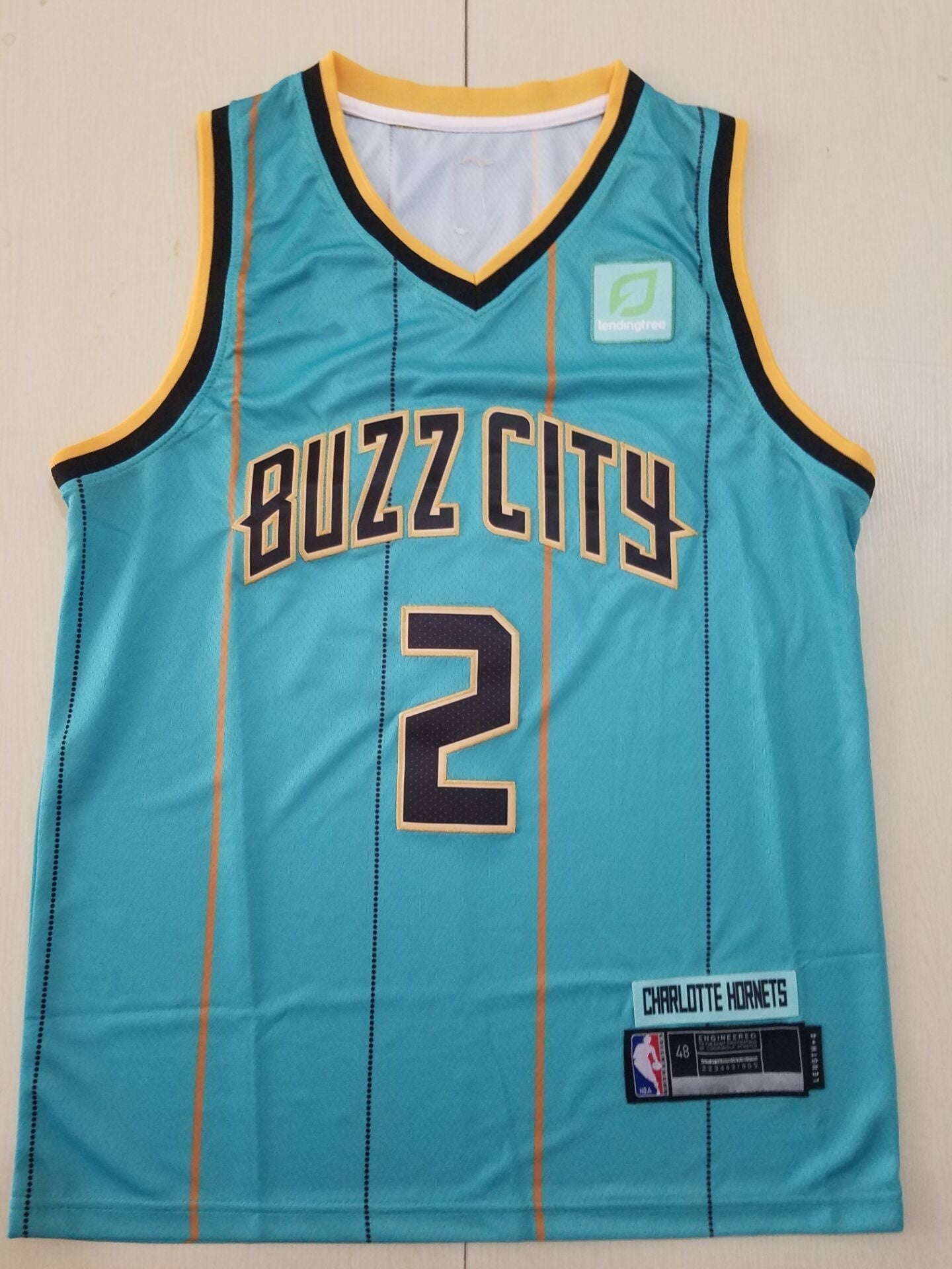 Men's Charlotte Hornets LaMelo Ball Green 2020-21 swingman Jerseys