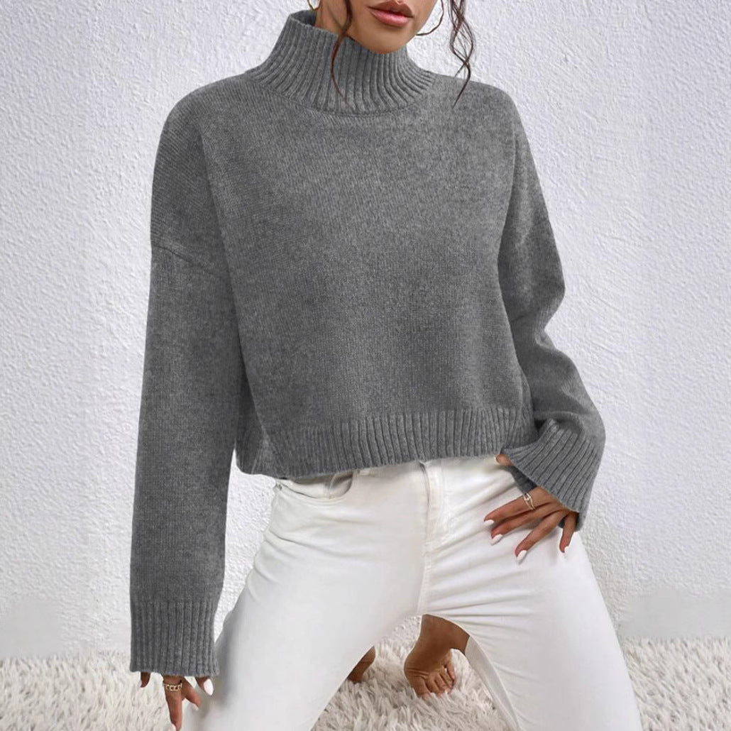 Stylish Apparel Loose Versatile Basic Pullover Women