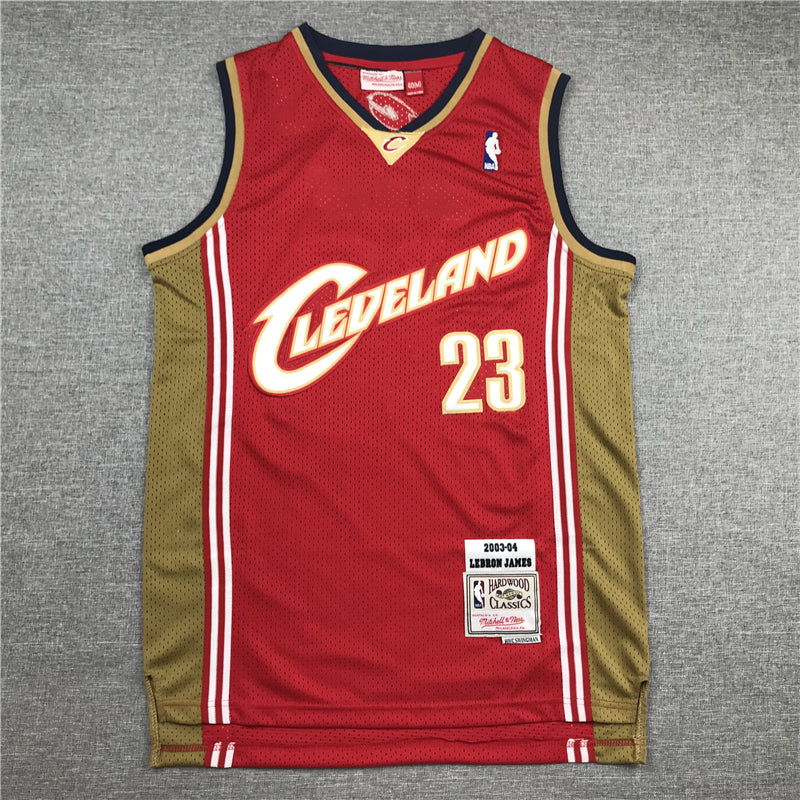 Men's Cleveland Cavaliers LeBron James 2003-04 Hardwood Classics Swingman Jerseys