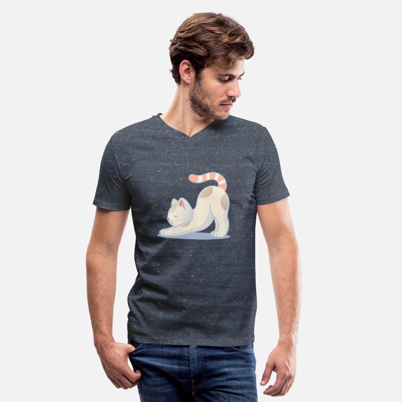 A cat in a stretching yoga pose