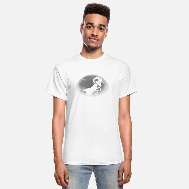 Aries Zodiac Star Sign Birthday Celebration Unique