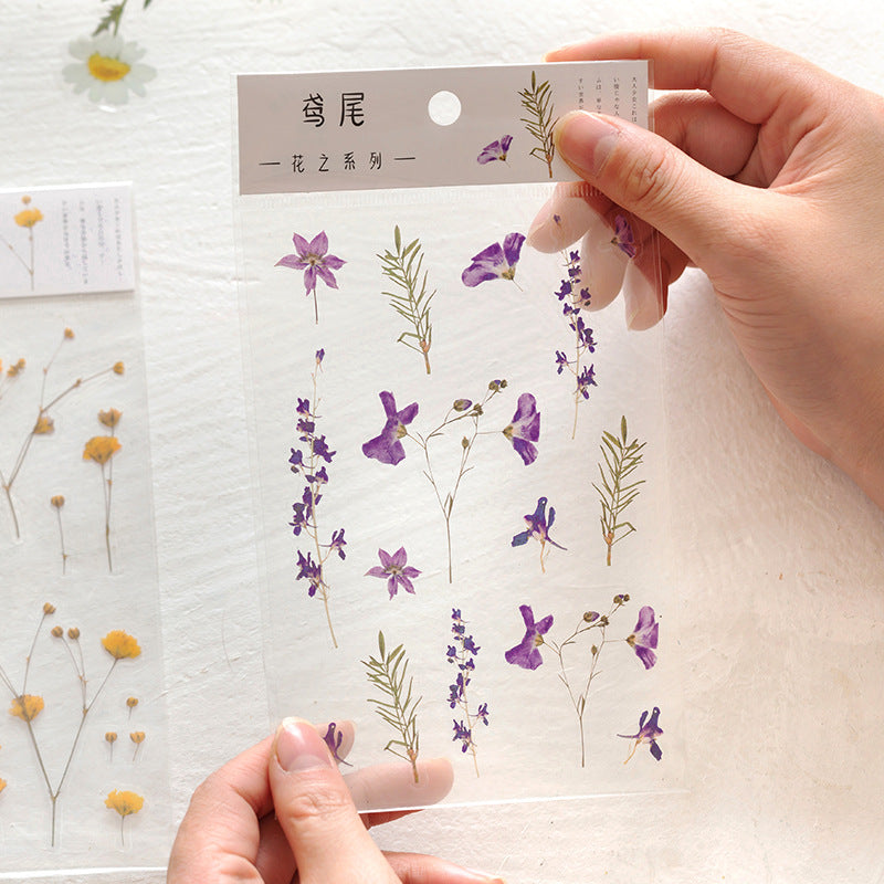 e303c0b52809195974811aabf0d56c7d