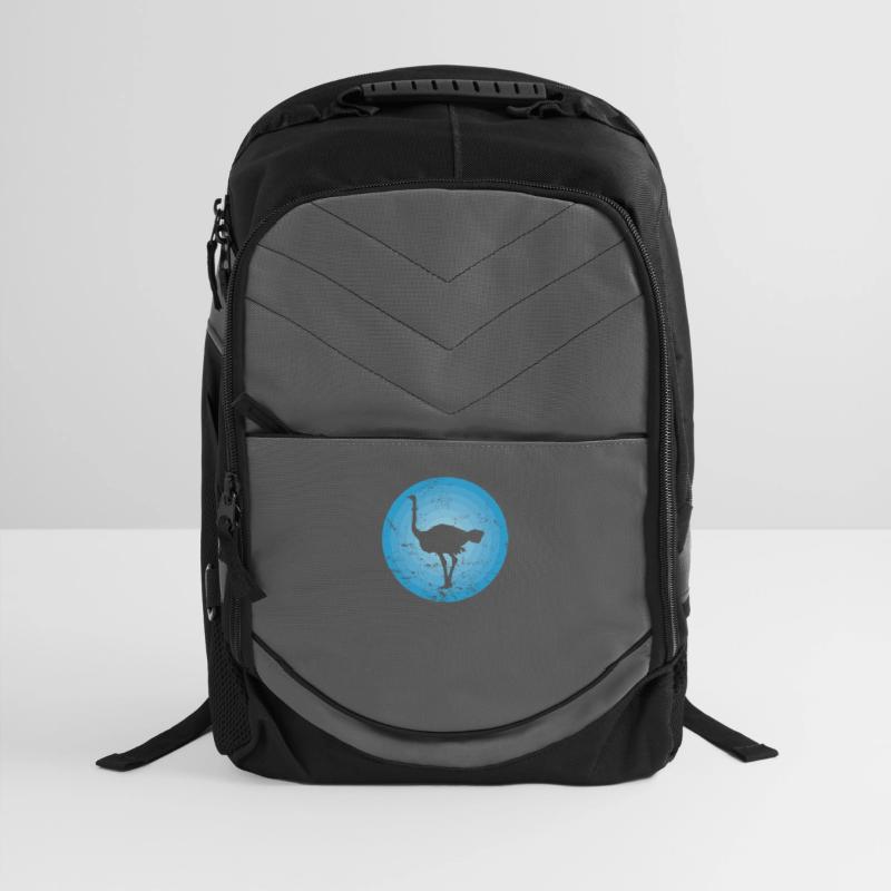 Bird Ostrich fast large Bird