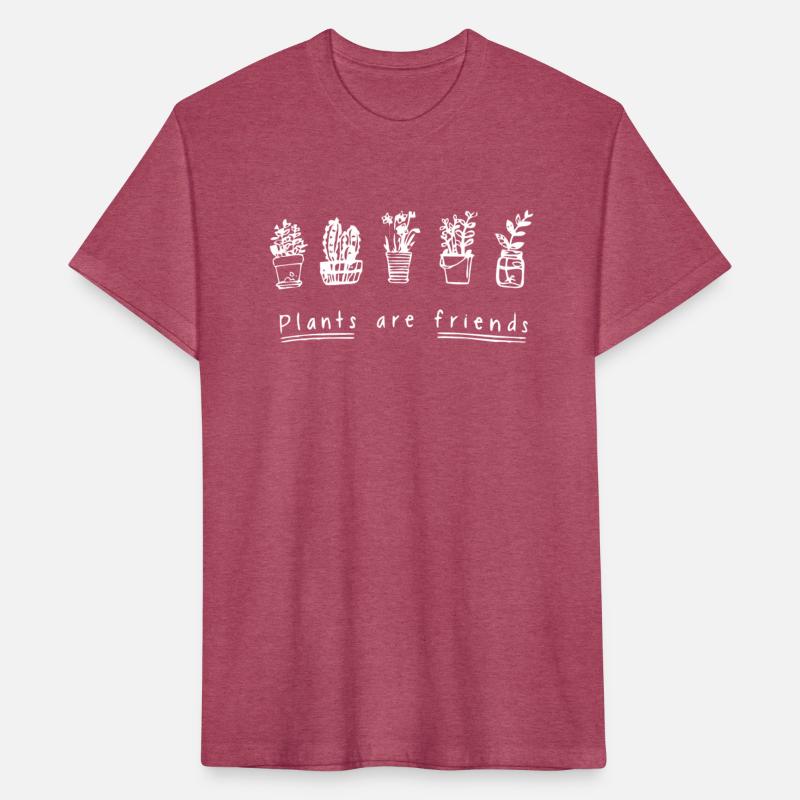 Celestial Companions