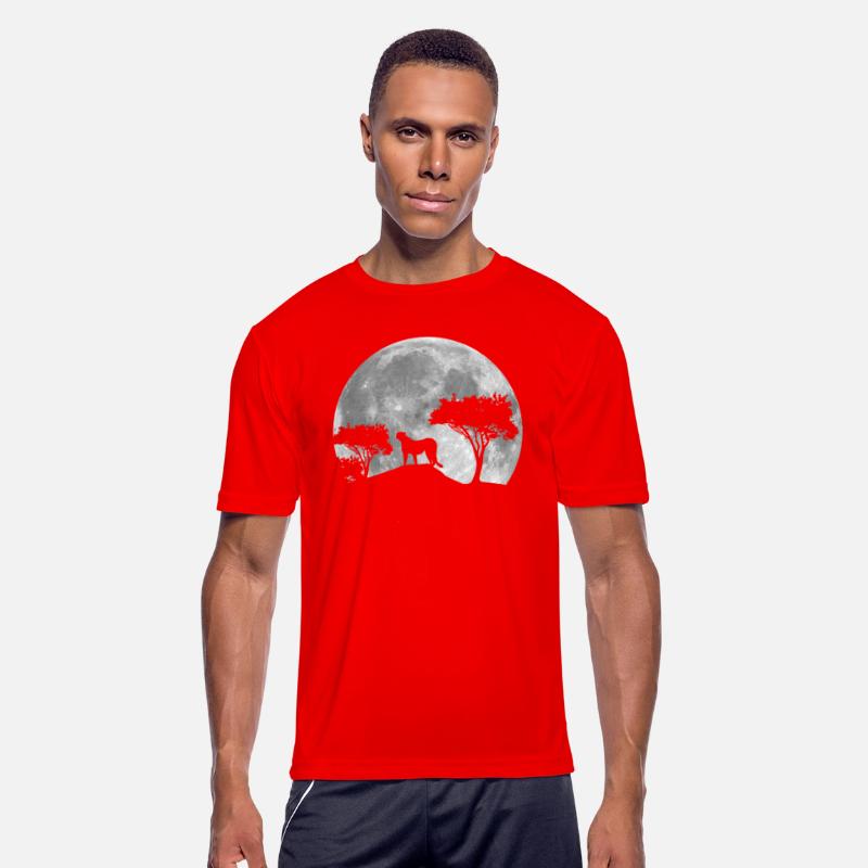 Cheetah Big Cat With Moon