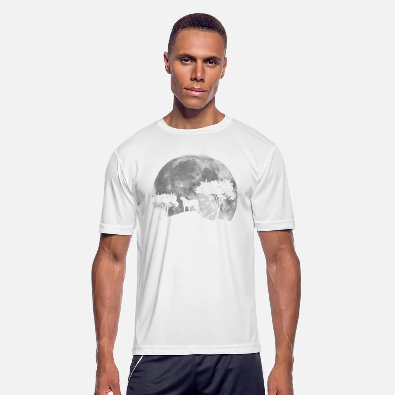 Cheetah Big Cat With Moon