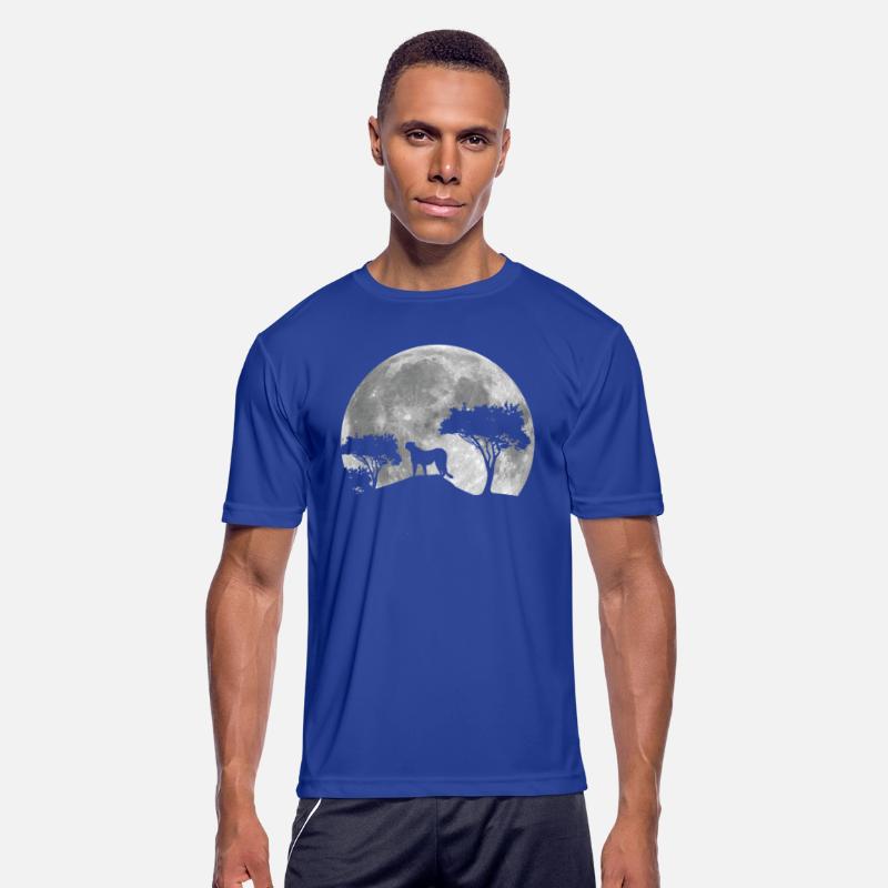 Cheetah Big Cat With Moon