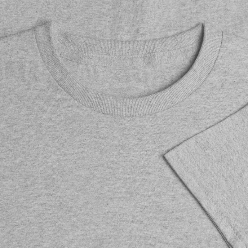 Dogo Argentino dog. 4th of July and memorial day