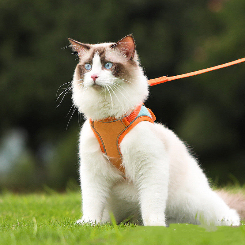 Anti Escape Reflective Cat Harness Leash – Designed for Modern Living