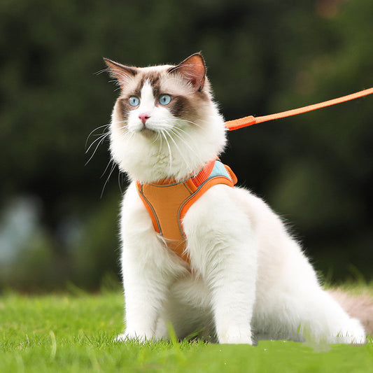 Anti Escape Reflective Cat Harness Leash – Designed for Modern Living