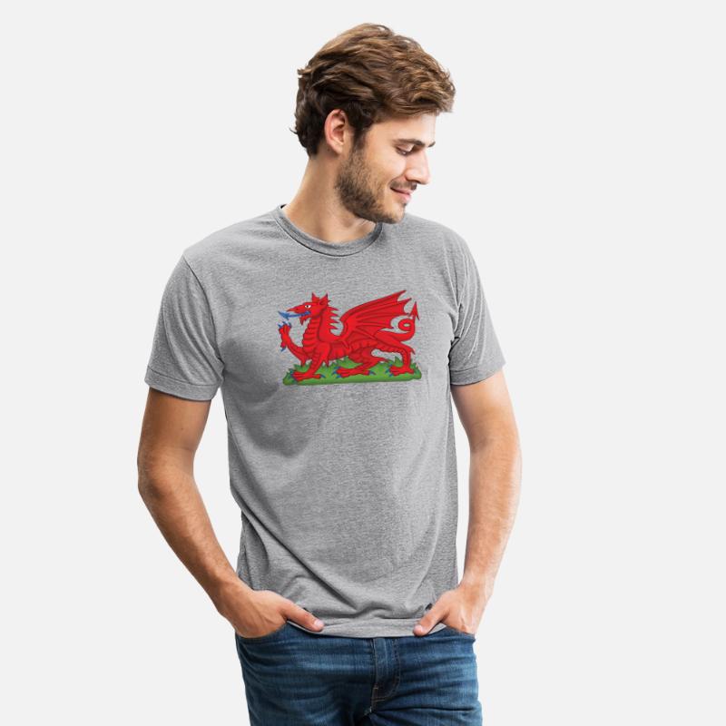 Wales Red Dragon National Flag Symbol