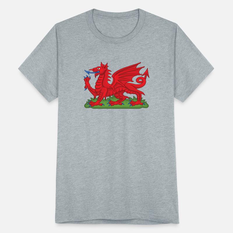 Wales Red Dragon National Flag Symbol