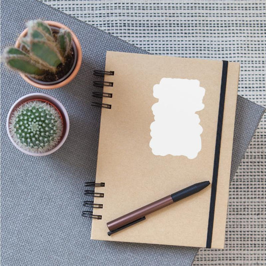 Zebras Nature Conservation Safari